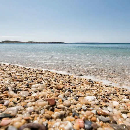 Vanta Δρυός